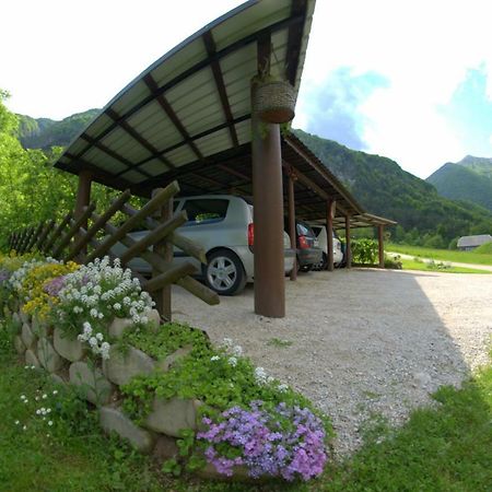 Apartma Bel Zaga 외부 사진