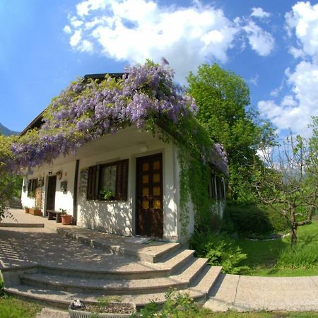 Apartma Bel Zaga 외부 사진