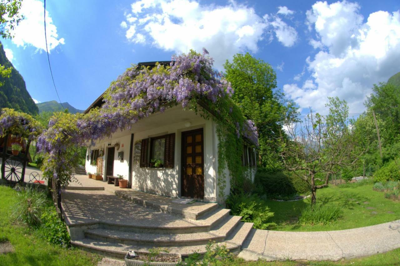 Apartma Bel Zaga 외부 사진