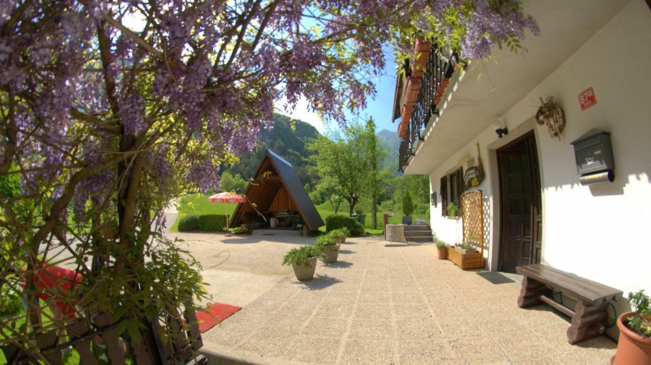 Apartma Bel Zaga 외부 사진